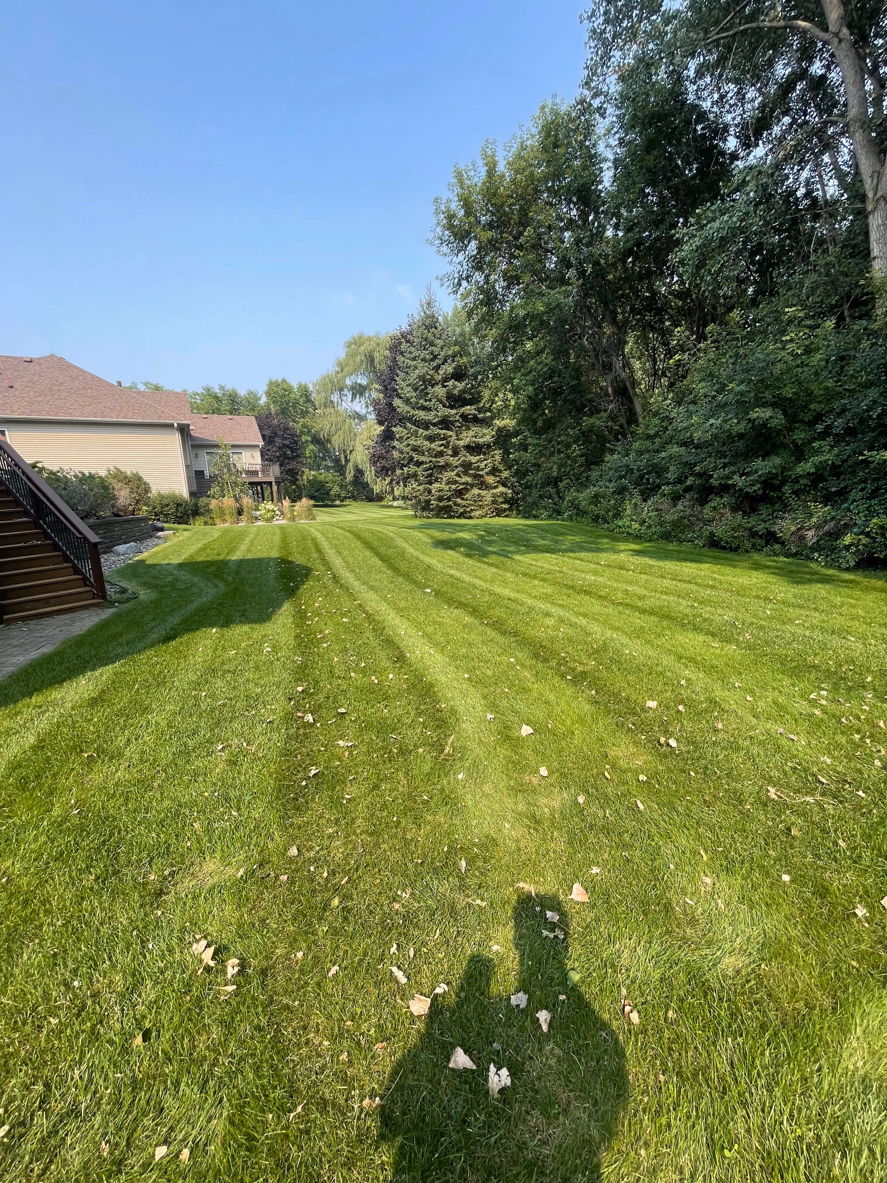 Green lawn with striped mowing pattern beside house and trees under a clear blue sky.