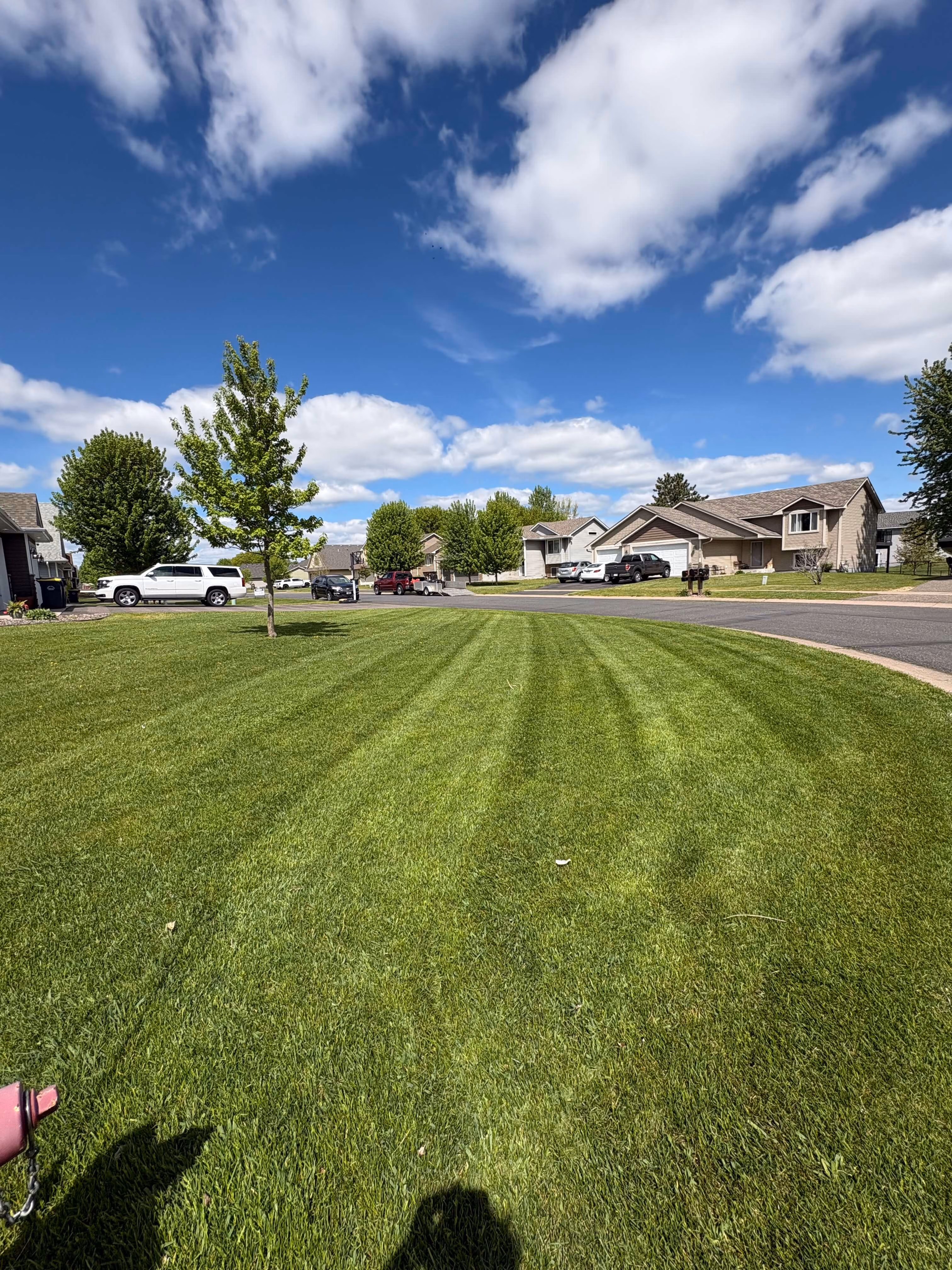 Green lawn with mowing lines, a small tree, houses, cars, and partly cloudy blue sky.