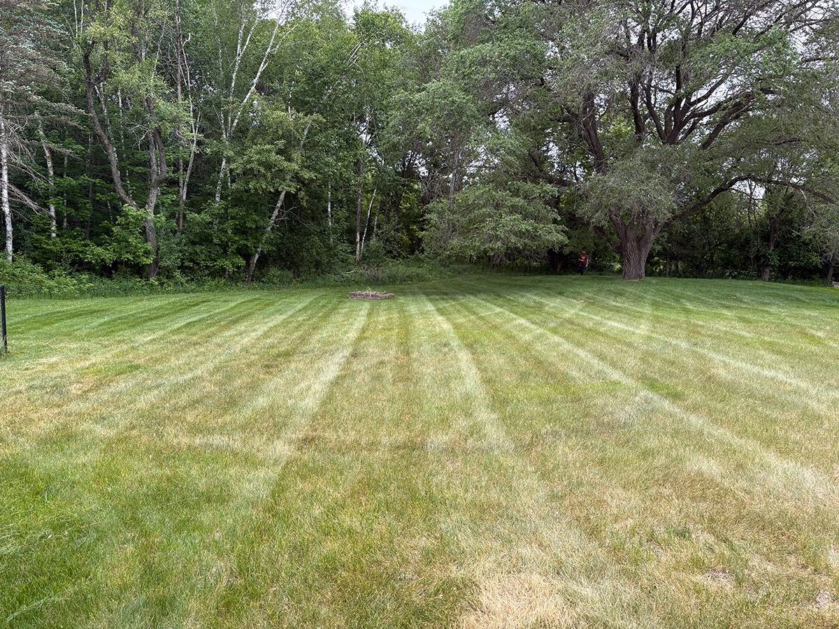 Mowed green lawn with striped pattern and fire pit ring in front of dense trees and bushes.