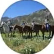 Four horseback riders in a grassy field with mountains and a blue sky background.